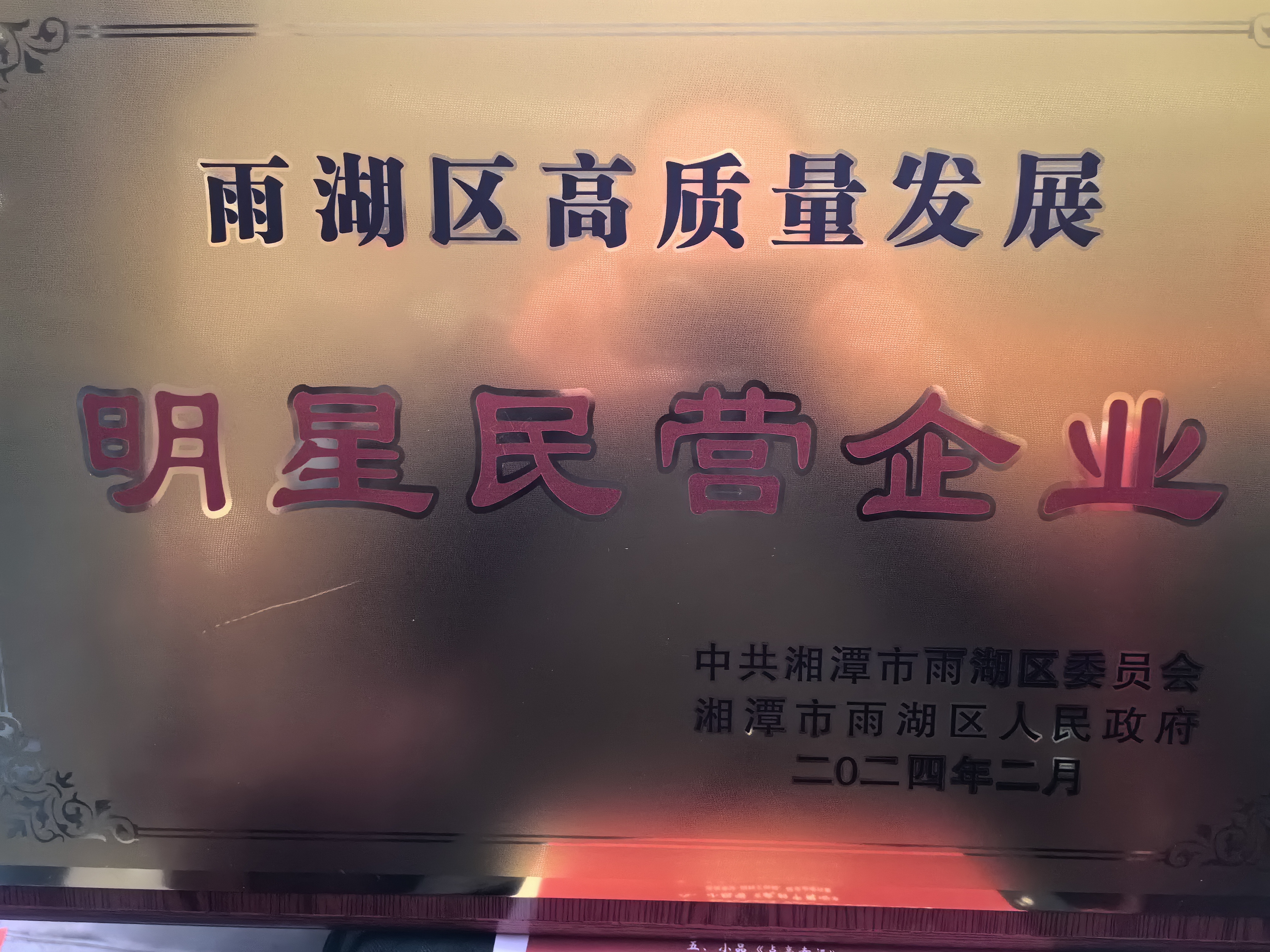 百博手机网荣获“雨湖区高质量发展明星民营企业”称号